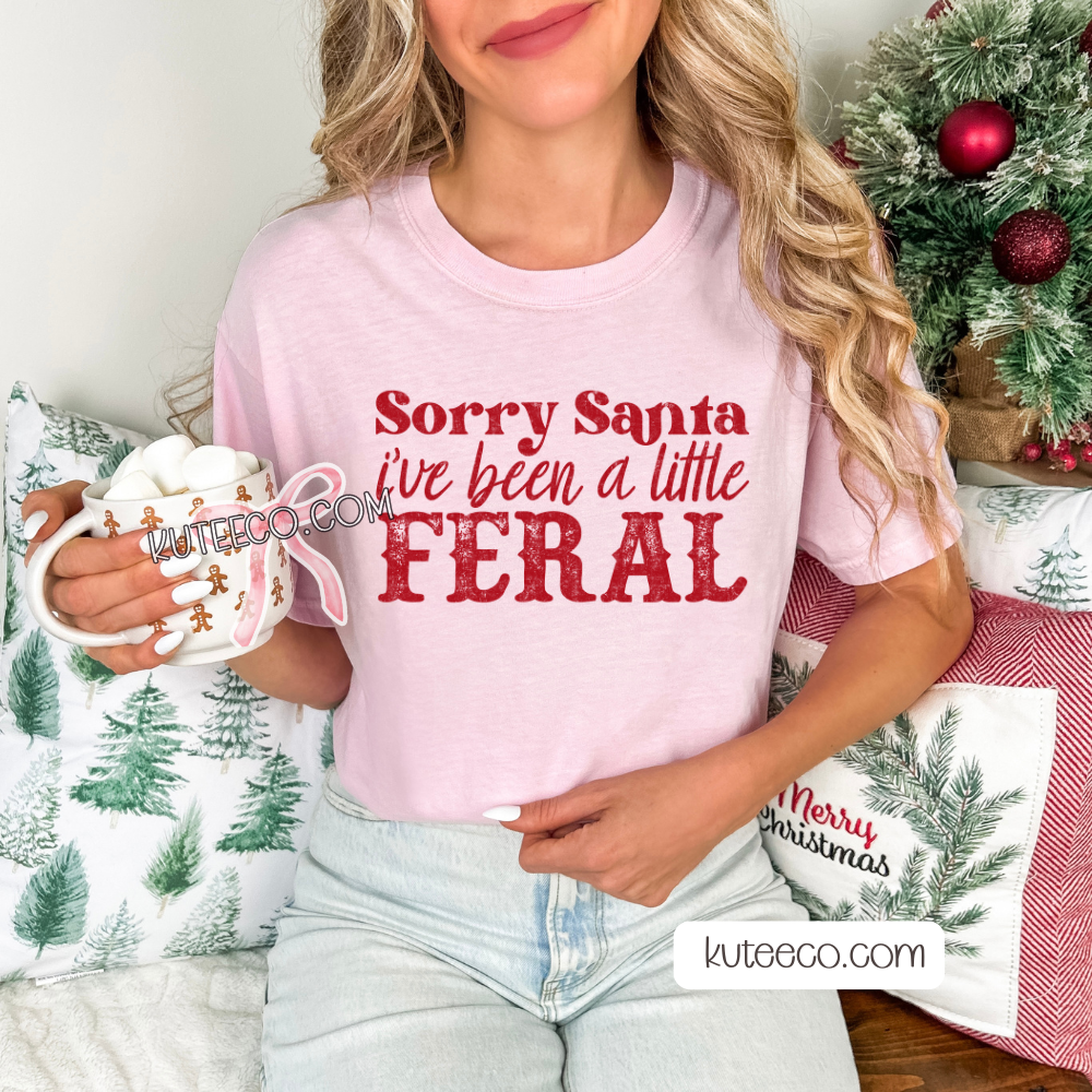 Sorry Santa T- Shirt/ Sweatshirt