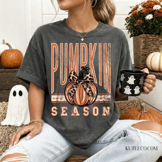 Pumpkin Season - Comfort Colors Tee / Sweatshirt