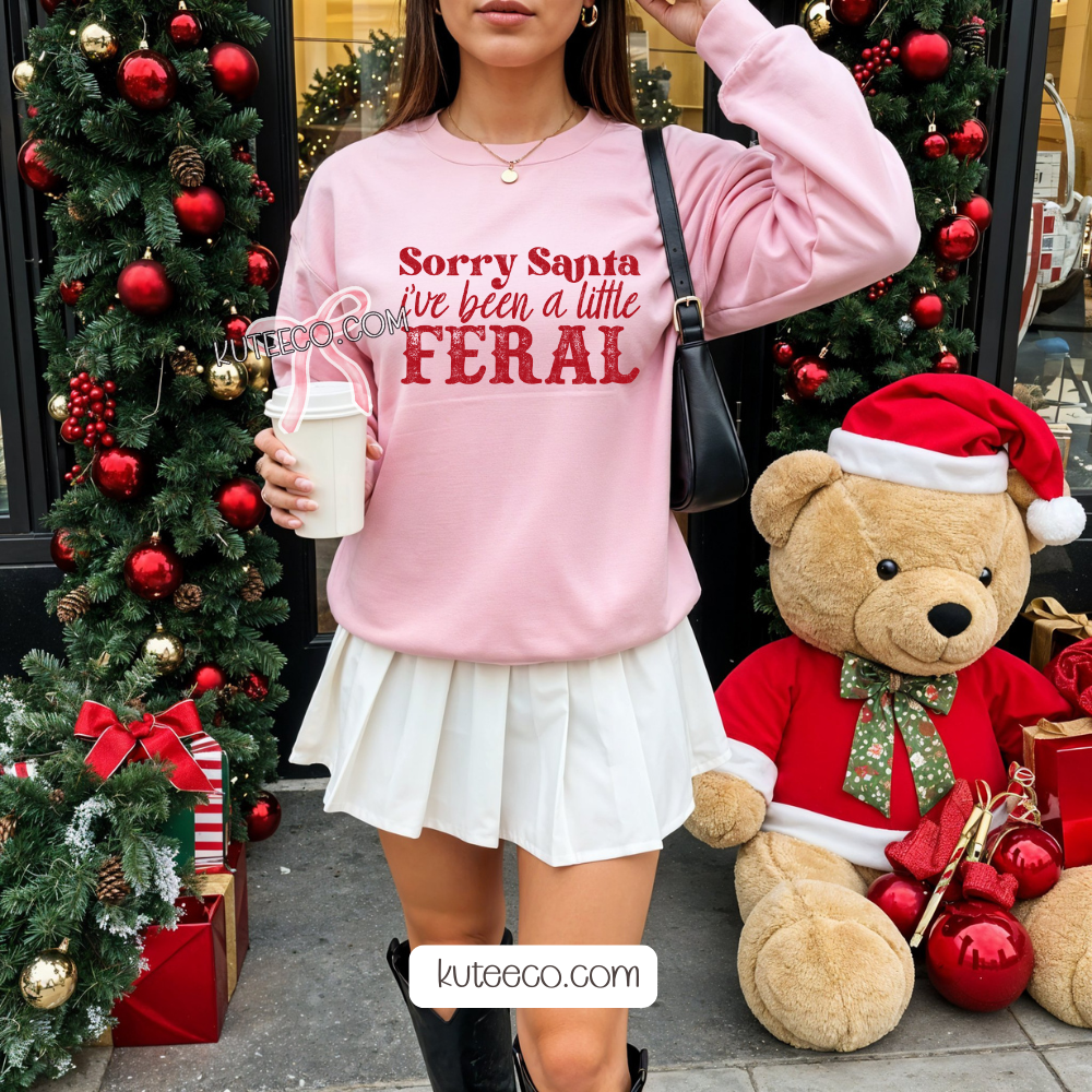 Sorry Santa T- Shirt/ Sweatshirt